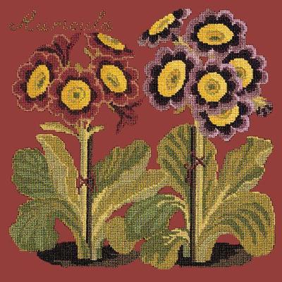 Auricula Needlepoint Kit Kits Elizabeth Bradley Design Dark Red 
