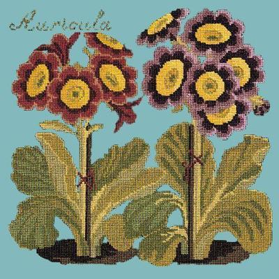 Auricula Needlepoint Kit Kits Elizabeth Bradley Design Duck Egg Blue 
