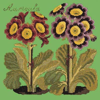 Auricula Needlepoint Kit Kits Elizabeth Bradley Design Grass Green 
