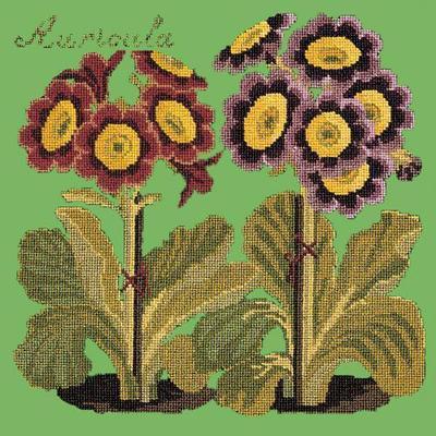 Auricula Needlepoint Kit Kits Elizabeth Bradley Design Grass Green 
