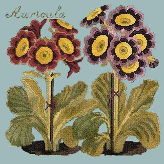 Auricula Needlepoint Kit Kits Elizabeth Bradley Design Pale Blue 
