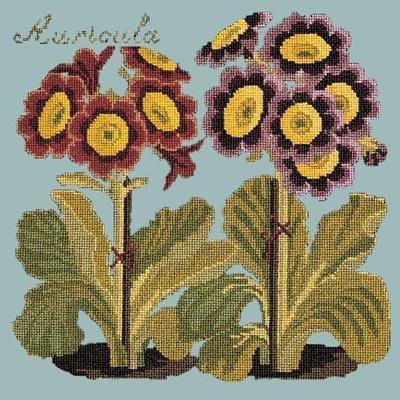 Auricula Needlepoint Kit Kits Elizabeth Bradley Design Pale Blue 

