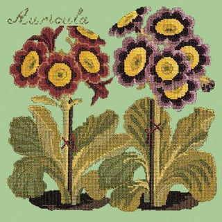 Auricula Needlepoint Kit Kits Elizabeth Bradley Design Pale Green 
