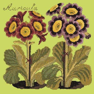 Auricula Needlepoint Kit Kits Elizabeth Bradley Design Pale Lime 
