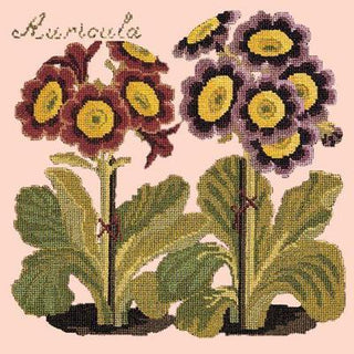 Auricula Needlepoint Kit Kits Elizabeth Bradley Design Salmon Pink 
