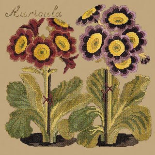 Auricula Needlepoint Kit Kits Elizabeth Bradley Design Sand 
