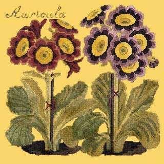 Auricula Needlepoint Kit Kits Elizabeth Bradley Design Sunflower Yellow 
