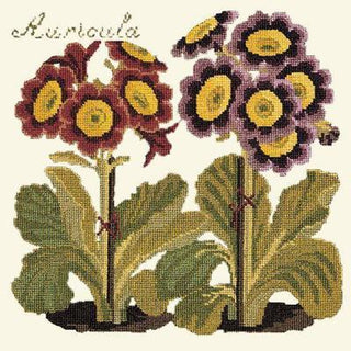 Auricula Needlepoint Kit Kits Elizabeth Bradley Design Winter White 
