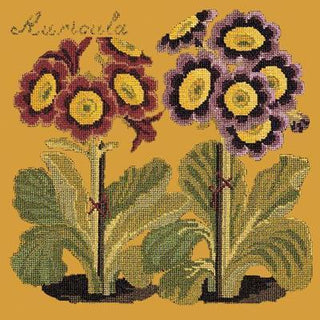 Auricula Needlepoint Kit Kits Elizabeth Bradley Design Yellow 
