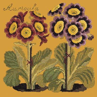 Auricula Needlepoint Kit Kits Elizabeth Bradley Design Yellow 
