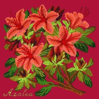 Azalea Needlepoint Kit Kits Elizabeth Bradley Design 
