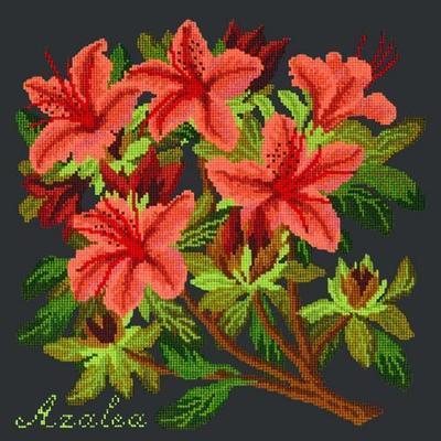 Azalea Needlepoint Kit Kits Elizabeth Bradley Design Black 
