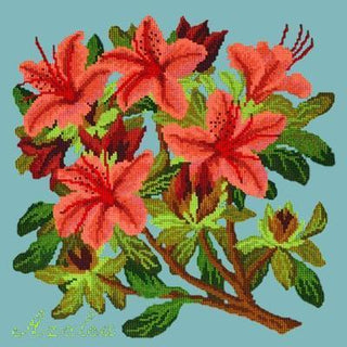Azalea Needlepoint Kit Kits Elizabeth Bradley Design Duck Egg Blue 
