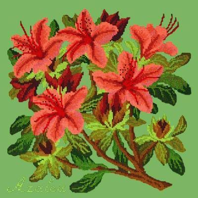 Azalea Needlepoint Kit Kits Elizabeth Bradley Design Grass Green 
