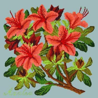 Azalea Needlepoint Kit Kits Elizabeth Bradley Design Pale Blue 
