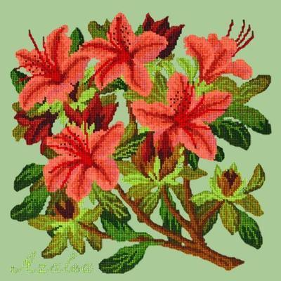 Azalea Needlepoint Kit Kits Elizabeth Bradley Design Pale Green 
