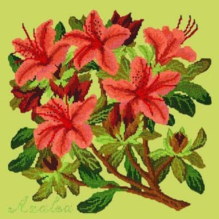 Azalea Needlepoint Kit Kits Elizabeth Bradley Design Pale Lime 
