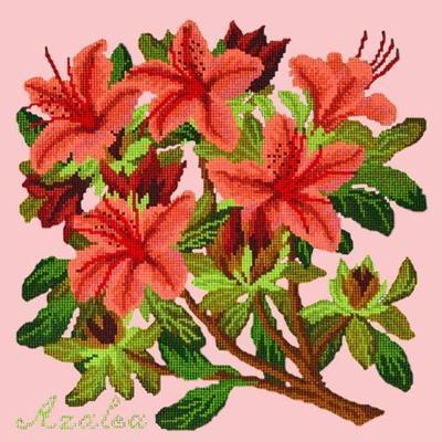 Azalea Needlepoint Kit Kits Elizabeth Bradley Design Pale Rose 
