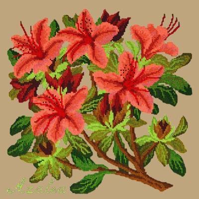 Azalea Needlepoint Kit Kits Elizabeth Bradley Design Sand 
