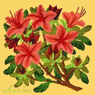 Azalea Needlepoint Kit Kits Elizabeth Bradley Design Sunflower Yellow 

