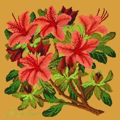 Azalea Needlepoint Kit Kits Elizabeth Bradley Design Yellow 
