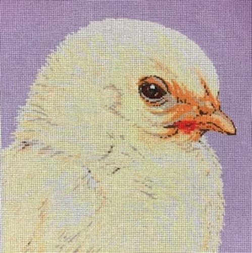 Baby Chick Painted Canvas The Meredith Collection  - 1