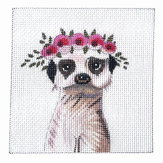 Baby Meerkat Painted Canvas Colors of Praise 