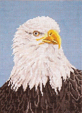 Bald Eagle on 13 Painted Canvas Needle Crossings 
