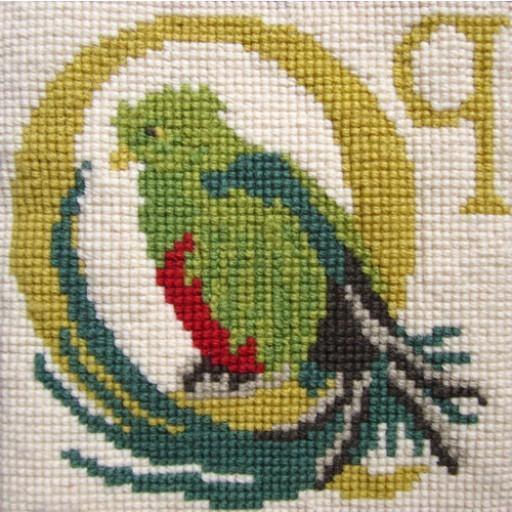 Beginner Needlepoint Kit Animal Alphabet Letter Q - Quetzal Kits Elizabeth Bradley Design 