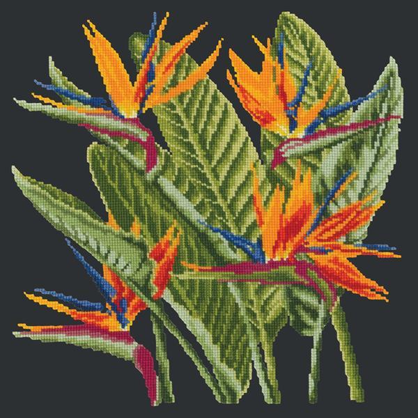 Bird of Paradise Needlepoint Kit Kits Elizabeth Bradley Design Black 

