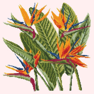 Bird of Paradise Needlepoint Kit Kits Elizabeth Bradley Design Cream 
