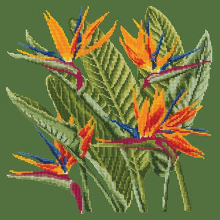 Bird of Paradise Needlepoint Kit Kits Elizabeth Bradley Design Dark Green 

