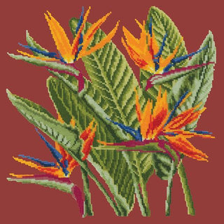 Bird of Paradise Needlepoint Kit Kits Elizabeth Bradley Design Dark Red 
