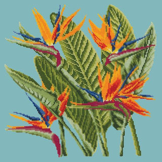 Bird of Paradise Needlepoint Kit Kits Elizabeth Bradley Design Duck Egg Blue 
