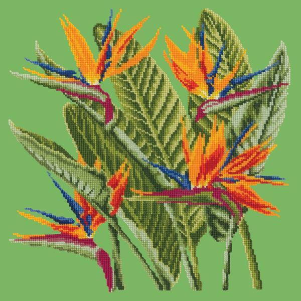 Bird of Paradise Needlepoint Kit Kits Elizabeth Bradley Design Grass Green 
