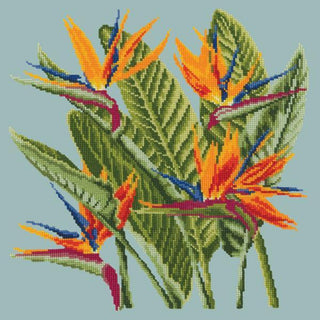 Bird of Paradise Needlepoint Kit Kits Elizabeth Bradley Design Pale Blue 
