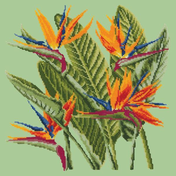 Bird of Paradise Needlepoint Kit Kits Elizabeth Bradley Design Pale Green 
