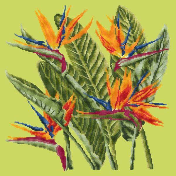 Bird of Paradise Needlepoint Kit Kits Elizabeth Bradley Design Pale Lime 
