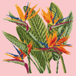 Bird of Paradise Needlepoint Kit Kits Elizabeth Bradley Design Pale Rose 
