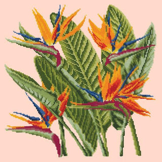 Bird of Paradise Needlepoint Kit Kits Elizabeth Bradley Design Salmon Pink 

