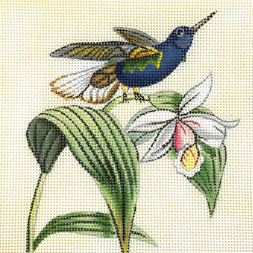 Blue Hummingbird Painted Canvas Melissa Shirley Designs  - 1