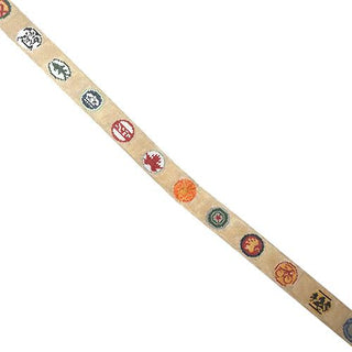 Bottle Cap Belt Painted Canvas Tina Griffin Designs 
