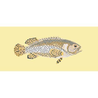 Brindled Grouper Needlepoint Kit Kits Elizabeth Bradley Design Butter Yellow 
