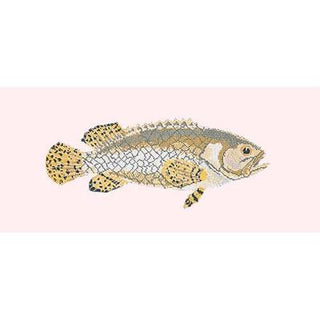 Brindled Grouper Needlepoint Kit Kits Elizabeth Bradley Design Cream 
