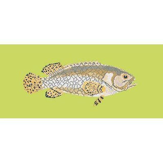 Brindled Grouper Needlepoint Kit Kits Elizabeth Bradley Design Pale Lime 
