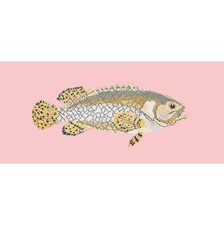 Brindled Grouper Needlepoint Kit Kits Elizabeth Bradley Design Pale Rose 
