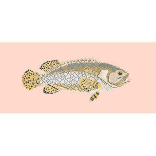 Brindled Grouper Needlepoint Kit Kits Elizabeth Bradley Design Salmon Pink 
