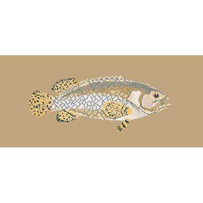 Brindled Grouper Needlepoint Kit Kits Elizabeth Bradley Design Sand 
