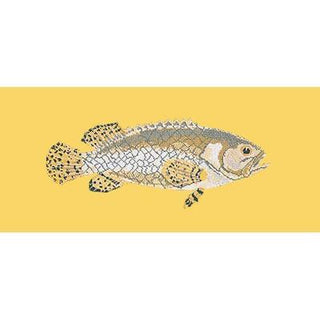 Brindled Grouper Needlepoint Kit Kits Elizabeth Bradley Design Sunflower Yellow 
