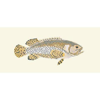Brindled Grouper Needlepoint Kit Kits Elizabeth Bradley Design Winter White 
